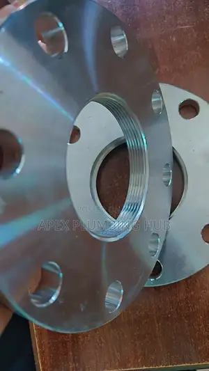 Ss Flanges