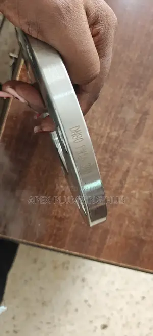 Ss Flanges