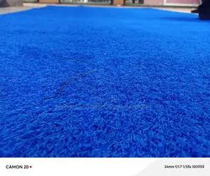 Futus Blue Grass Carpets