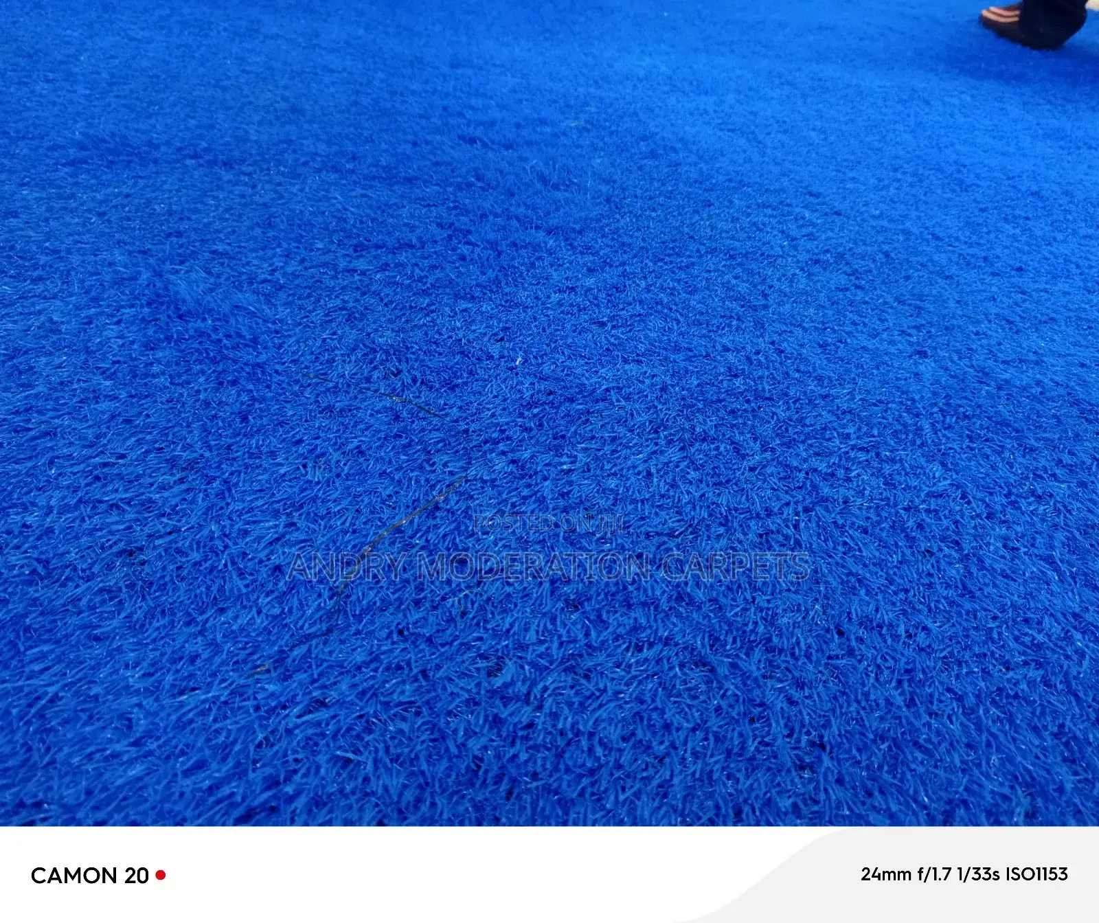 Futus Blue Grass Carpets