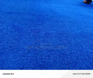 Futus Blue Grass Carpets