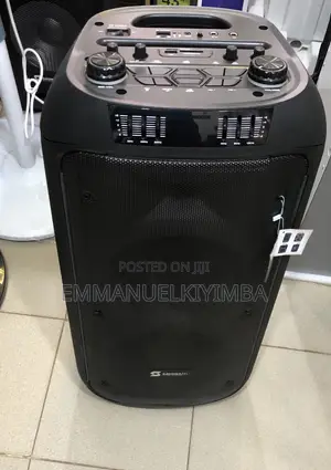 Sayona Amplified Speaker SHT-1339bt