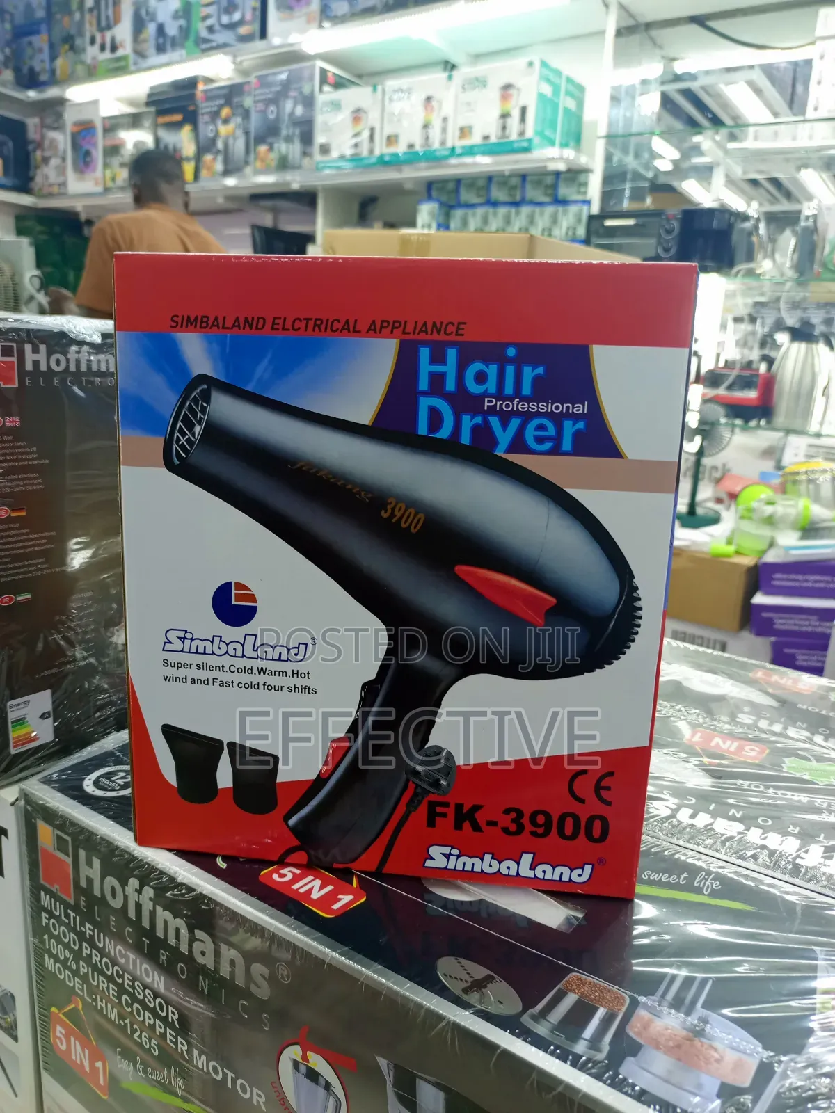 Professional Hair Dryer