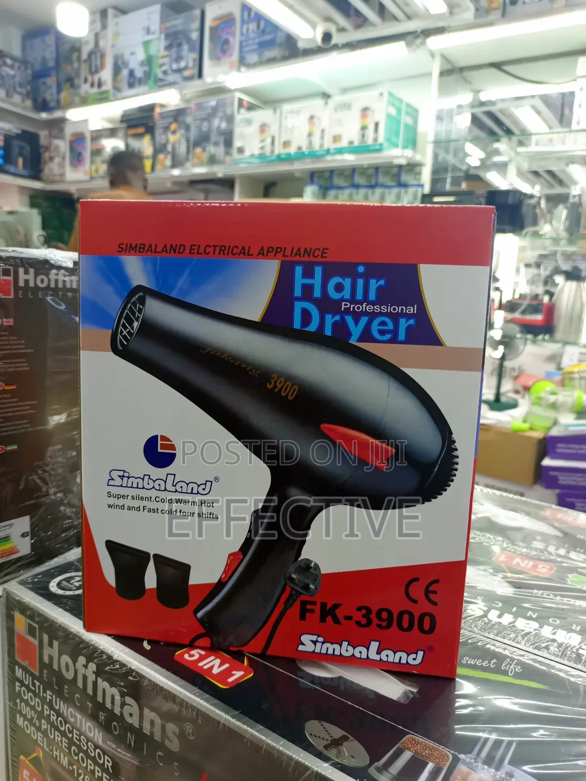 Professional Hair Dryer