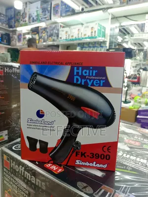 Professional Hair Dryer