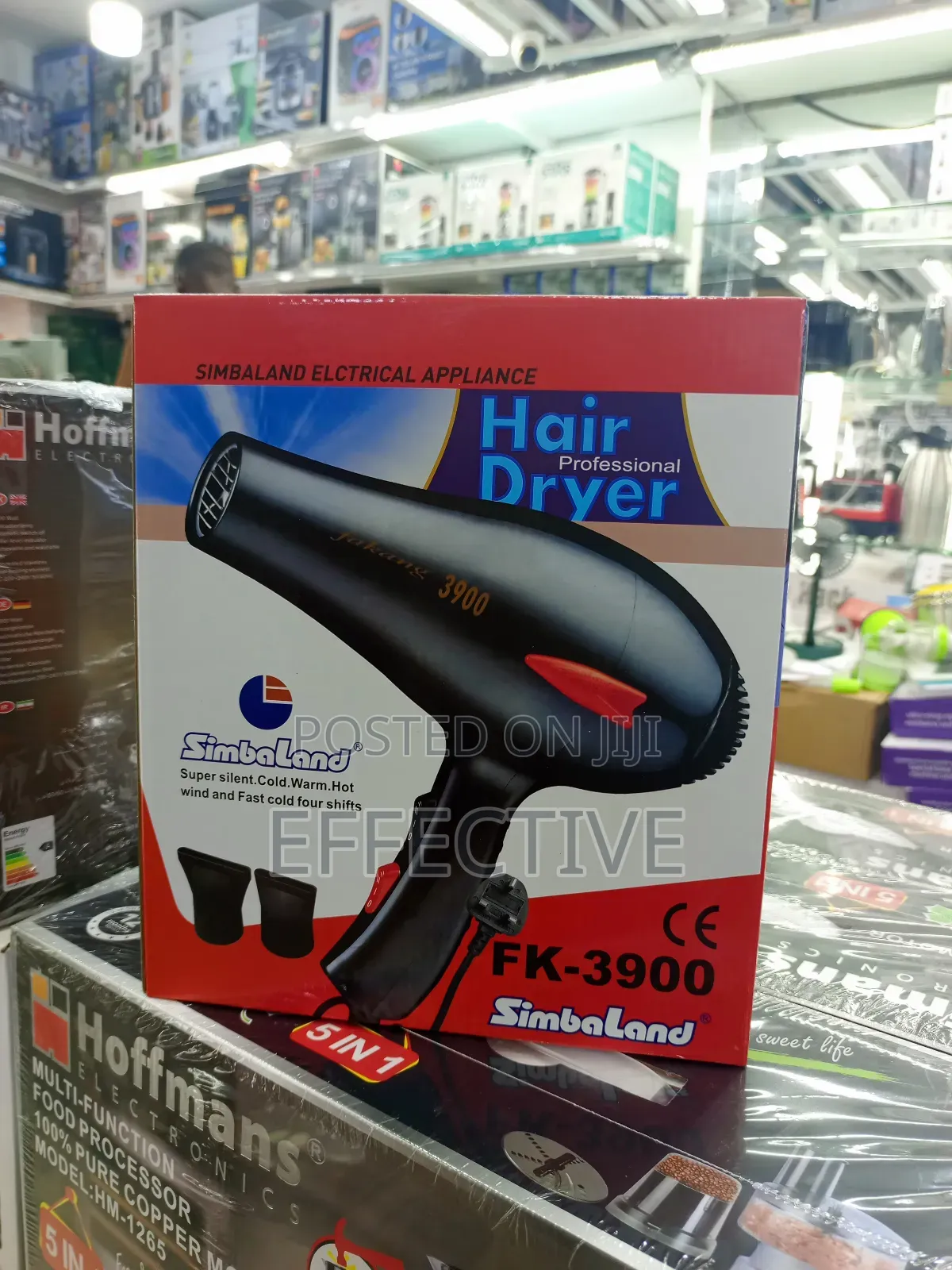 Professional Hair Dryer
