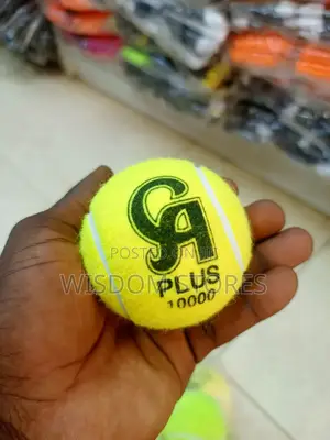 12pcs Ca Plus 10000 Cricket Tennis Ball.