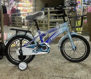 Kids Bicycle Blue
