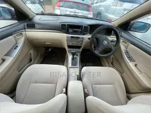 Toyota Allex 2005 Silver