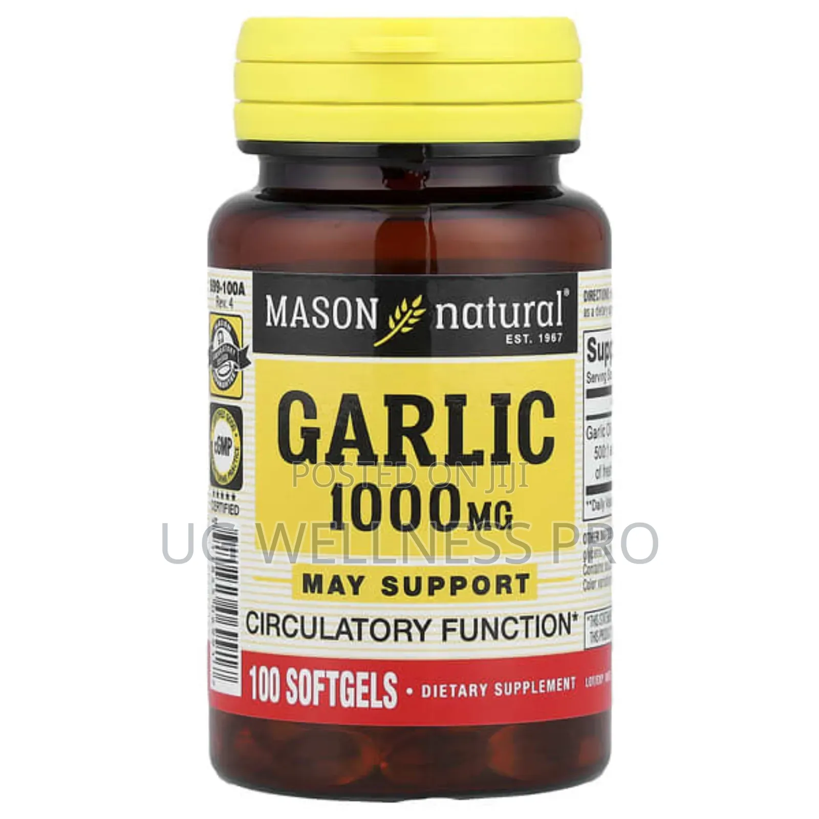 Mason Natural, Garlic, 1,000 Mg, 100 Softgels