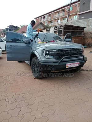 Denis Car and House Glass Tints