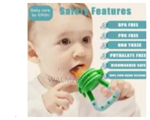 Baby Fruit Food Feeder Pacifier