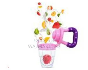 Baby Fruit Food Feeder Pacifier