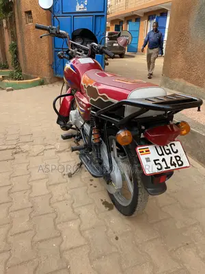 Bajaj CT 125X 2024 Red