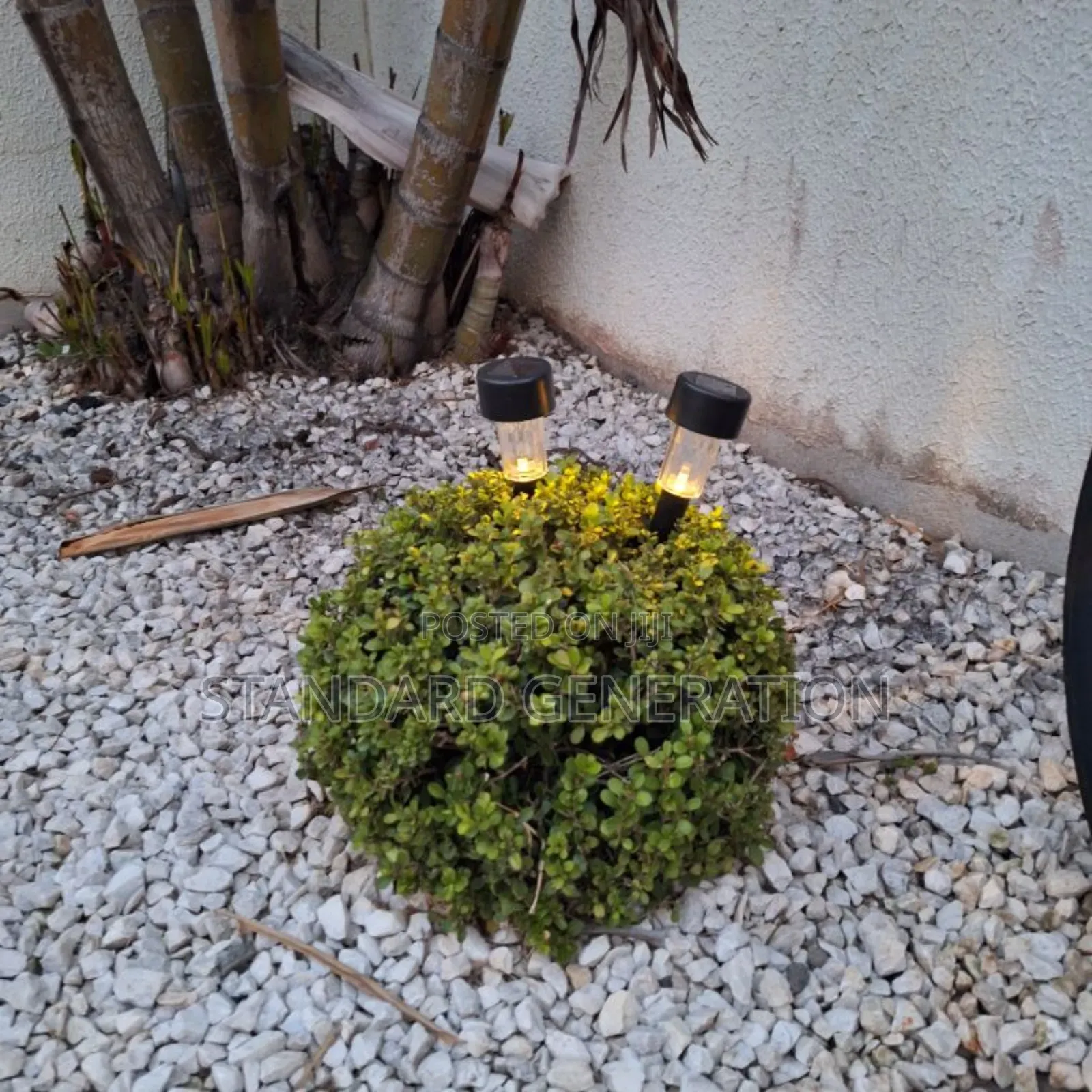 Decorative Solar Garden Lights