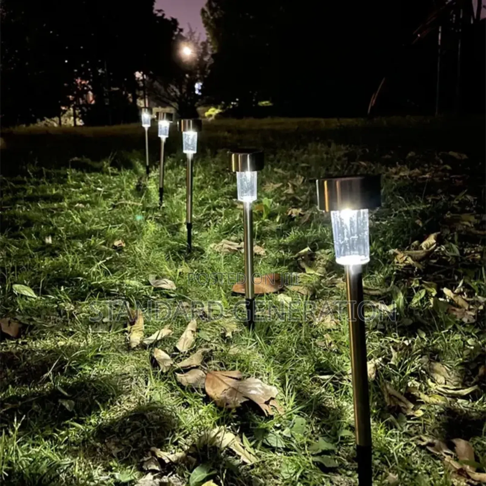 Decorative Solar Garden Lights