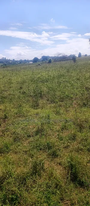 68 Acres of Land in Kiziri After Gayaza