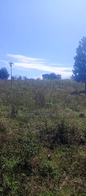 168 Acres of Land in Bugema Behind Bugema University