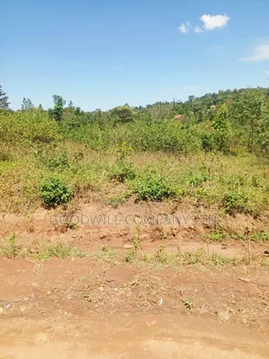 4.95 Acres of Land in Kiwenda Kiziri Touching Feeder Road