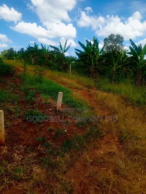 1.5 Acres of Land in Kiwenda Behind the Town