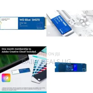 Western Digital Wd Blue Sn570 Nvme SSD