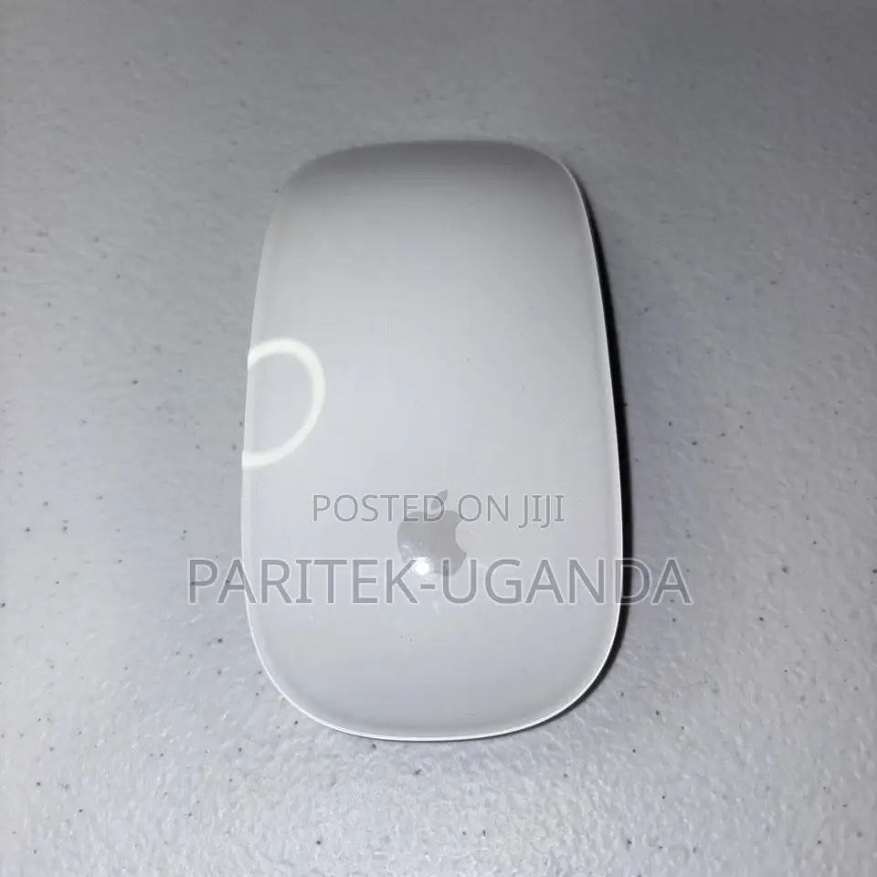 Magic Mouse 2