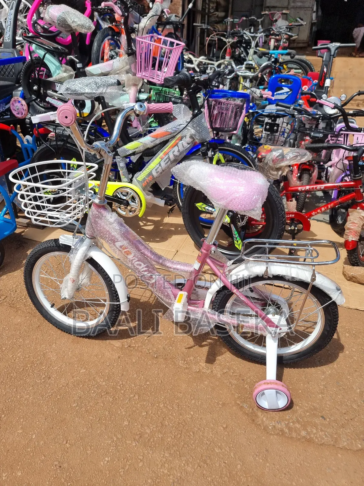 Iconic/Bicycles/Gleaming