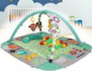 Baby Activity Gym or Play Mat With an Activity Arch and Ball Pit