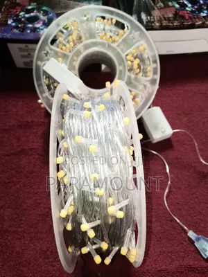 100 Meters Christmas Lights