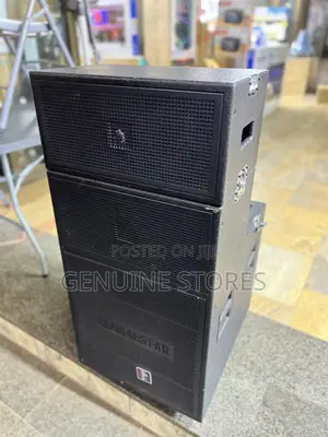 Rechargeable Stage Speaker With Amplification