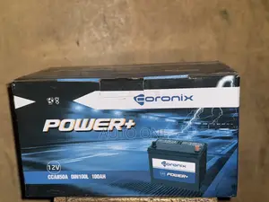 Din100 Battery Cca850a