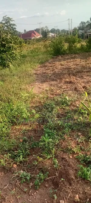 Land On Sale