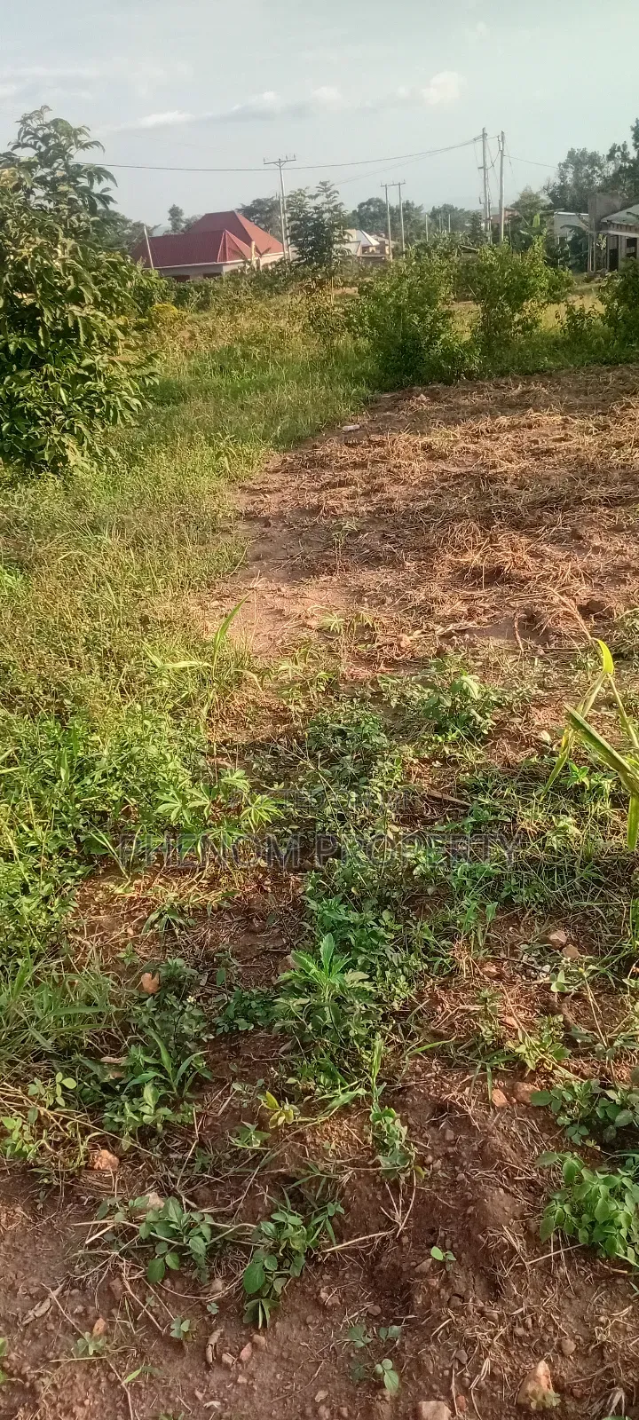 Land On Sale