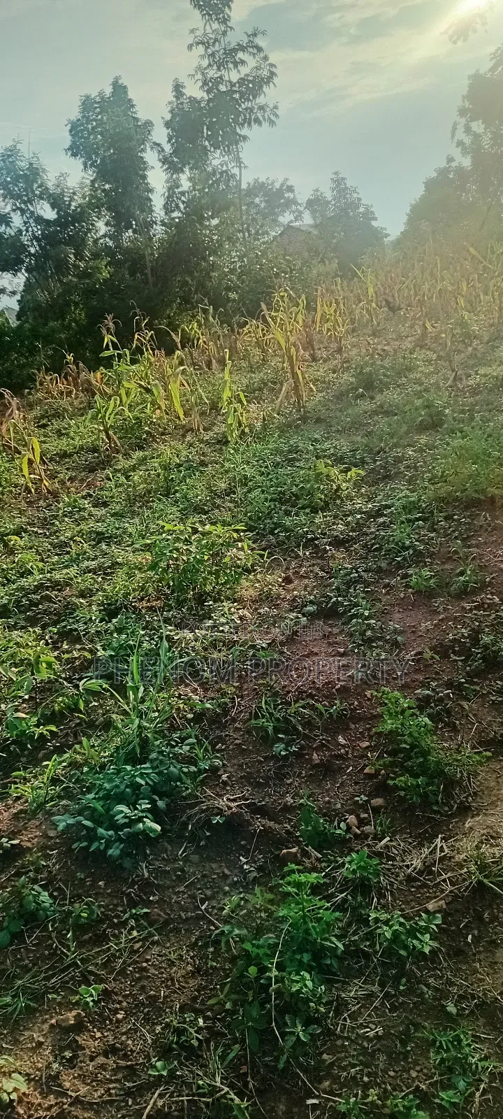 Land On Sale