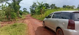 1 Acre of Sugarcane-Covered Land for Sale – Butagaya,Jinja District