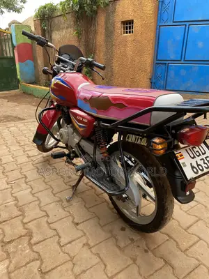 Bajaj CT 125X 2024 Red