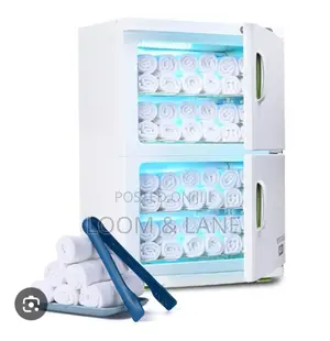 Electric Dual-cabinet Hot Towel Warmer