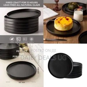 Set of 6 Modern Matte Black Dinner Plates
