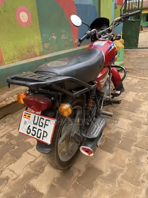 Bajaj CT 125X 2024 Red