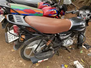 Bajaj CT 125X 2024 Red