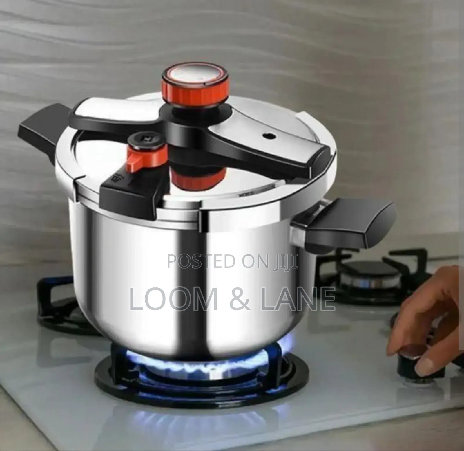 Deniphi Dst24-10l Stainless Steel Pressure Cooker