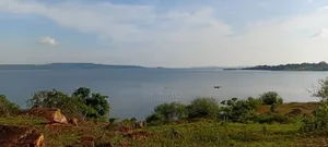 2.5 Acres of Land in Buwagajo, Touching Lake Victoria.