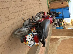 Bajaj CT 125X 2024 Red