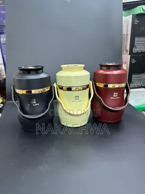 Its Orgainal Food Flask