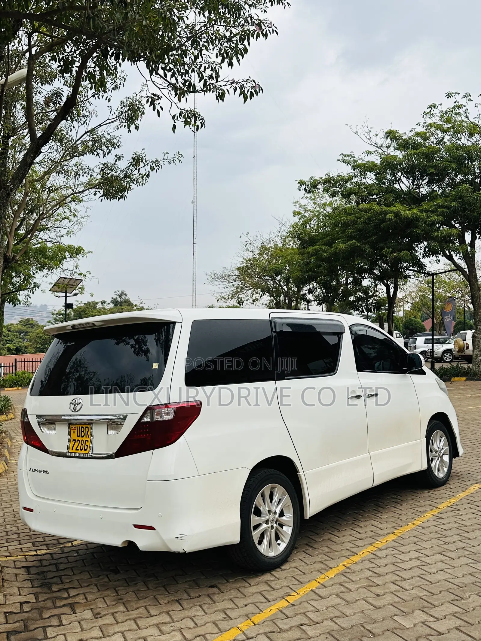 Alphard Available for Hire