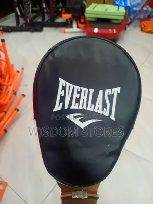 Everlast 1910 Focus Mitt.