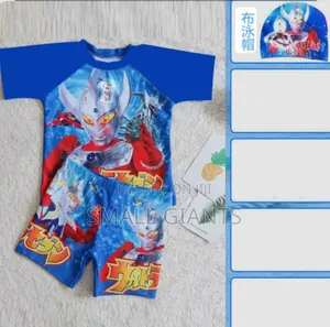 Boys Two Pieces Cartoon Swimsuit