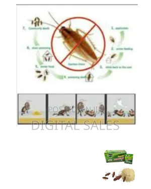Cockroach Killing Powder