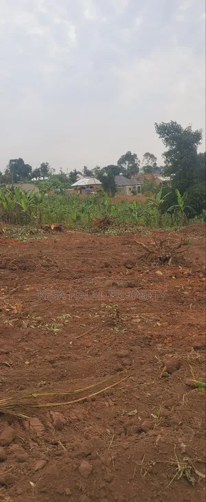 Good Plots Titled 50x100 Lwemwde Nearing Town