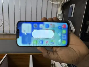 Apple iPhone 13 Pro Max 256 GB Green